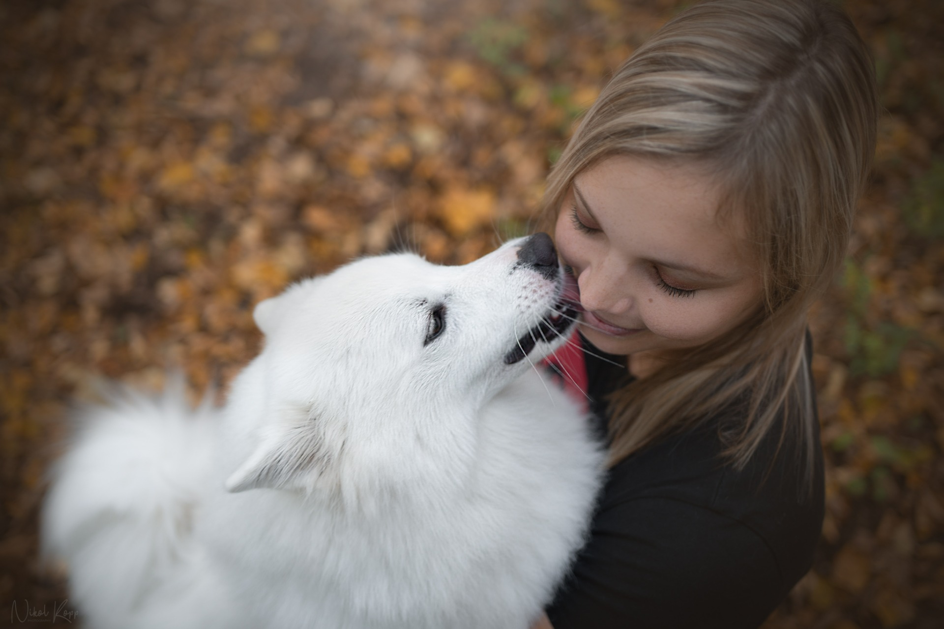 © Nikol Kopp